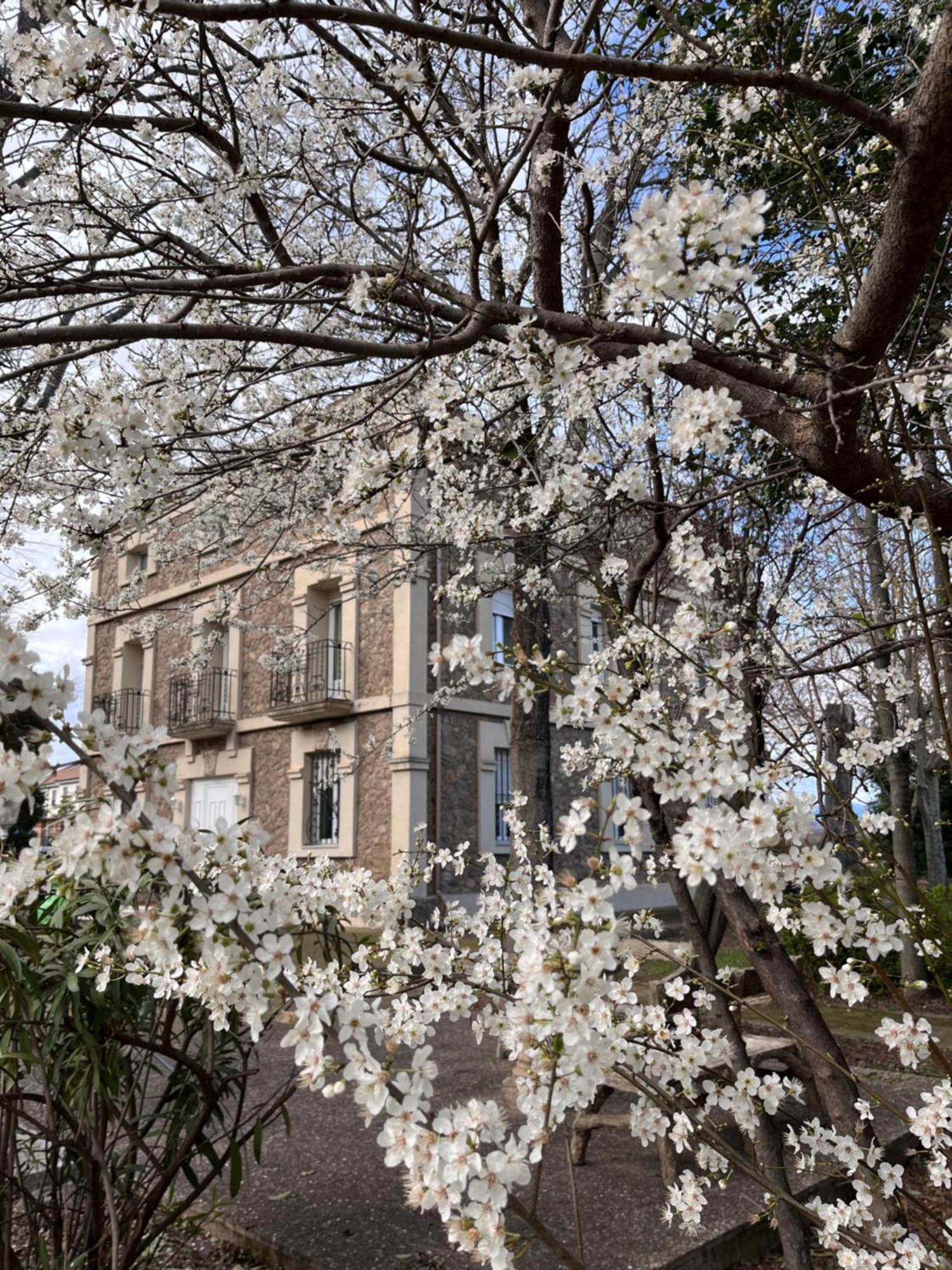 Villa Merenciana Agoncillo Dış mekan fotoğraf