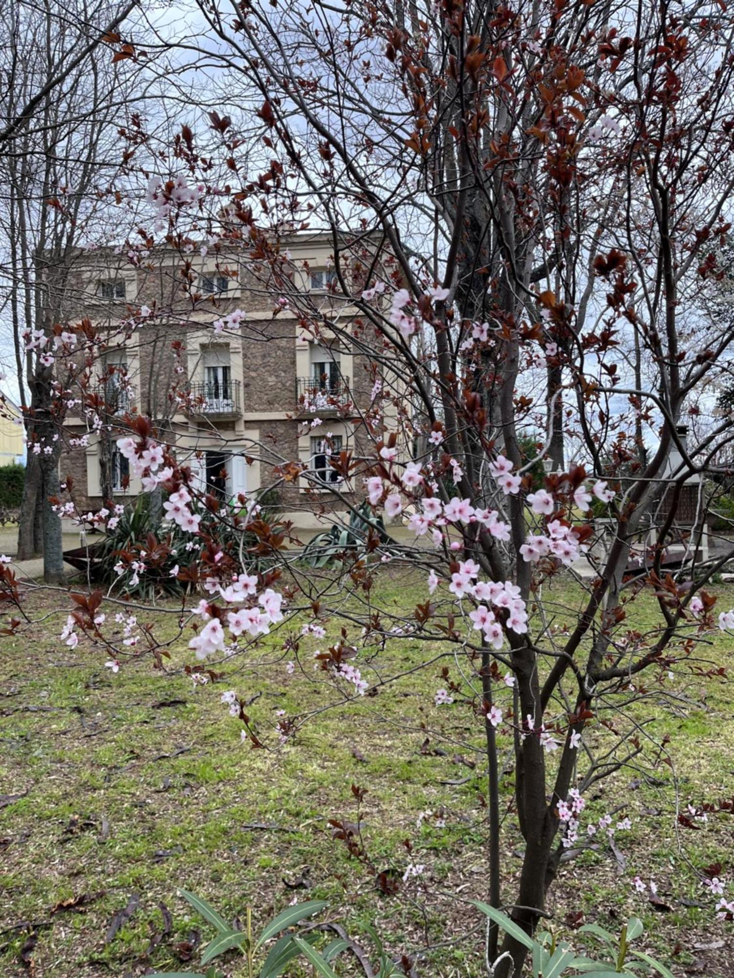 Villa Merenciana Agoncillo Dış mekan fotoğraf