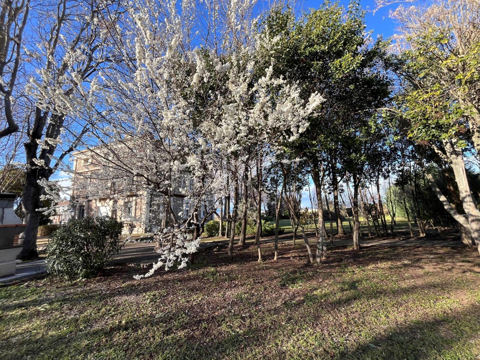 Villa Merenciana Agoncillo Dış mekan fotoğraf
